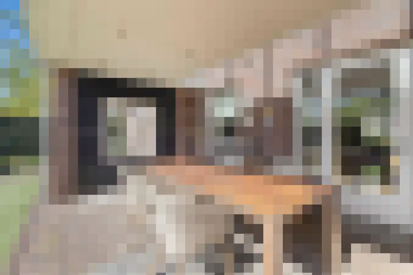 Aldenhof 13 Baarlo thumbnail 37