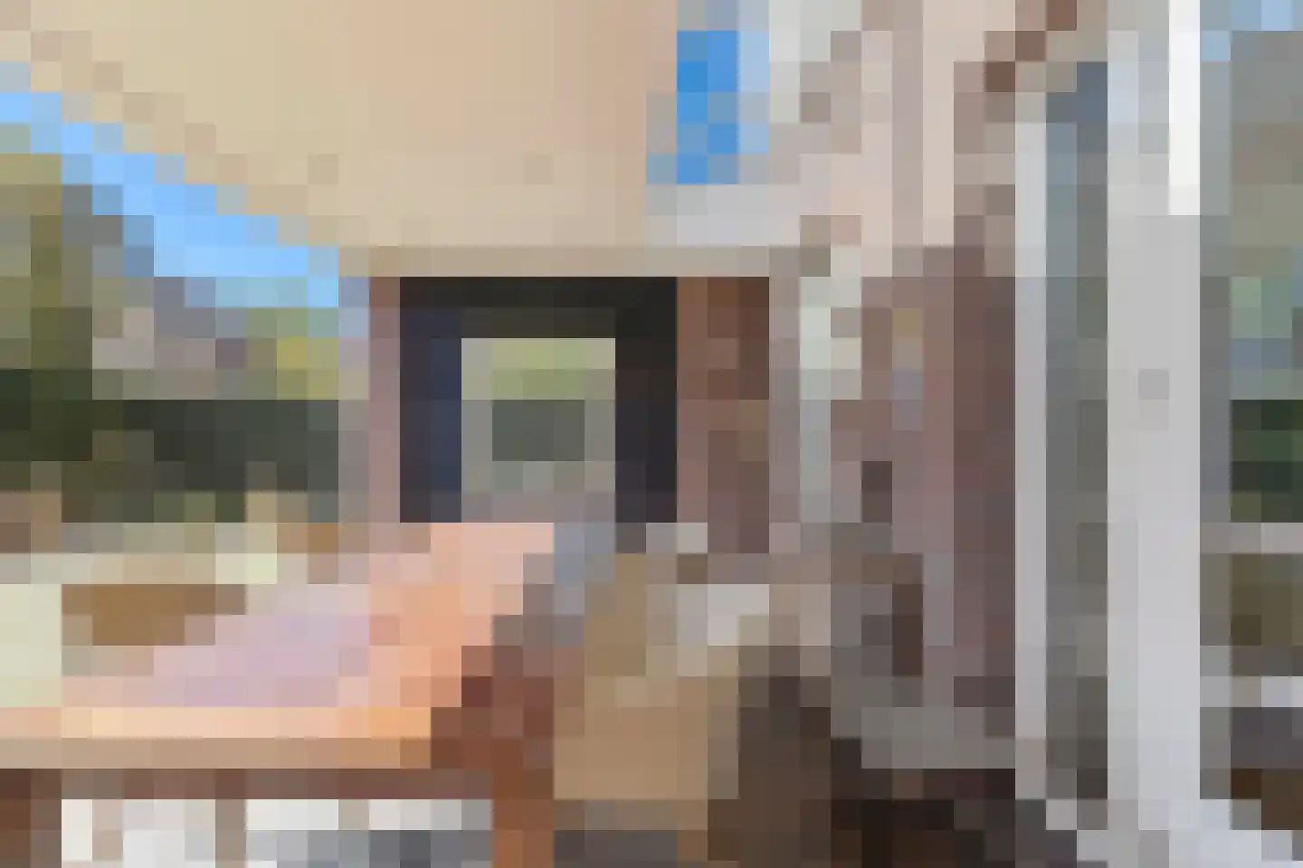 Aldenhof 13 Baarlo thumbnail 38