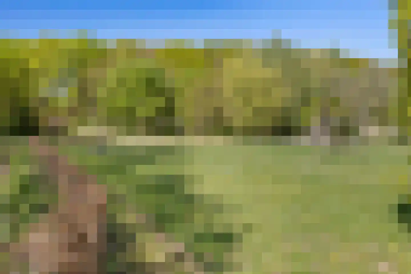 Aldenhof 13 Baarlo thumbnail 43