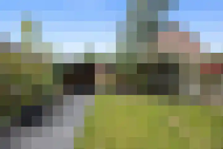 Aldenhof 1307 Nijmegen thumbnail 19