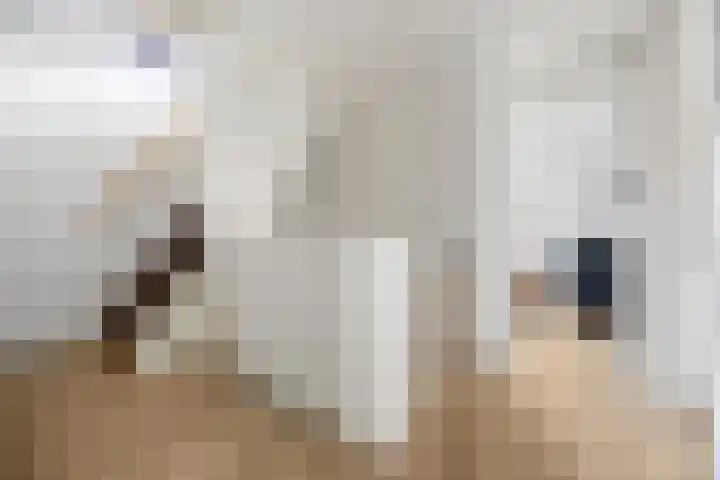 Aldenhof 1307 Nijmegen thumbnail 33