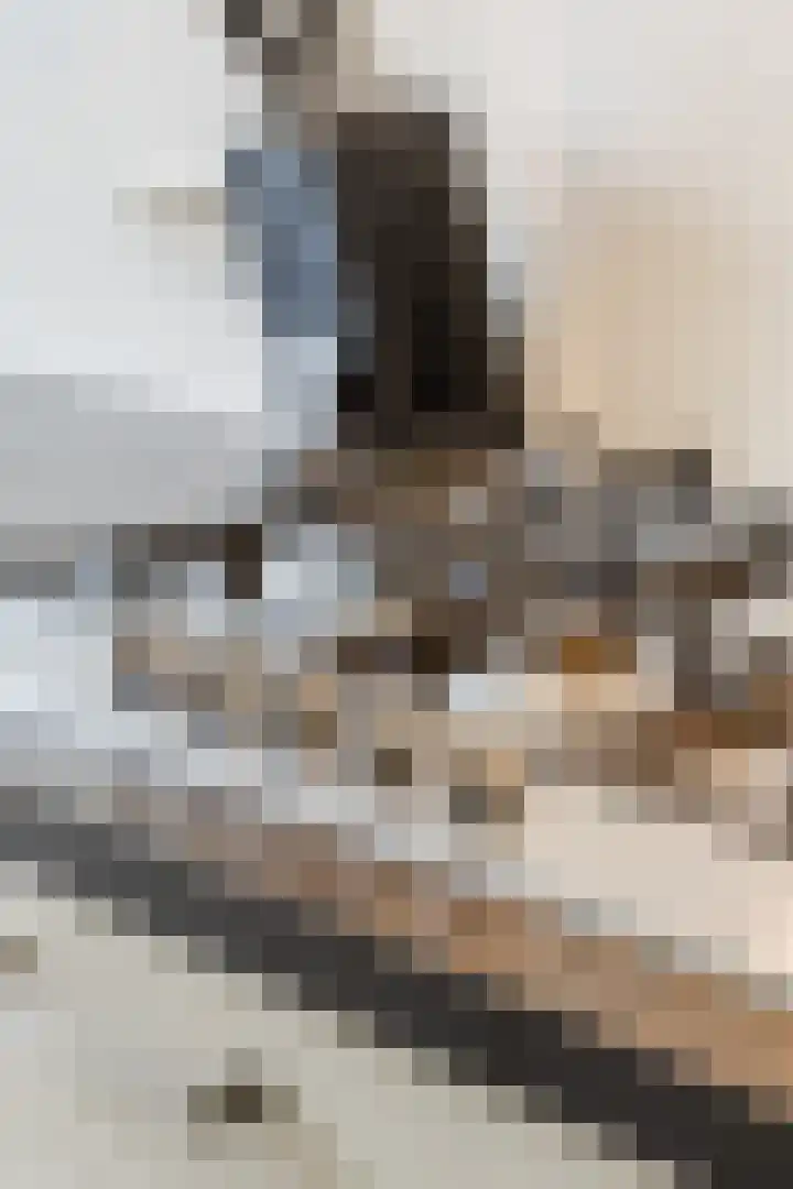Aldenhof 2117 Nijmegen thumbnail 12
