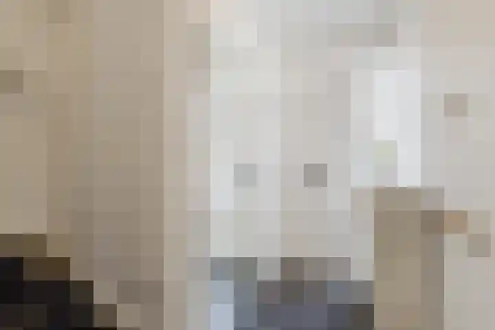 Aldenhof 2117 Nijmegen thumbnail 14