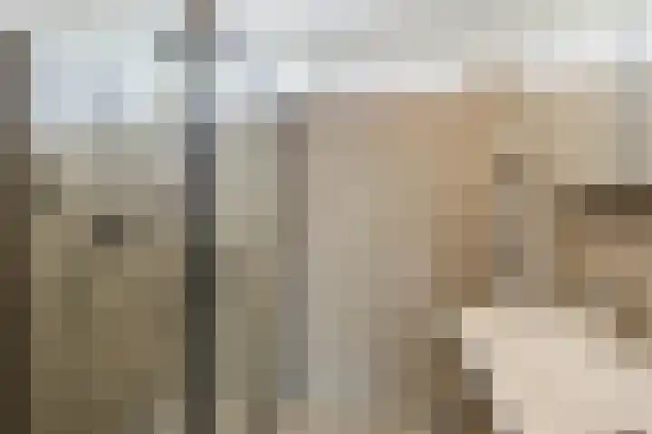 Aldenhof 2117 Nijmegen thumbnail 17