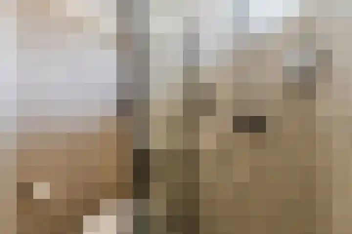 Aldenhof 2117 Nijmegen thumbnail 18