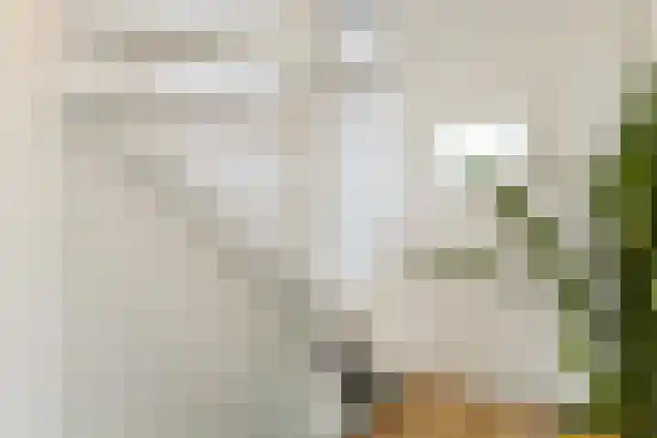 Aldenhof 2117 Nijmegen thumbnail 28