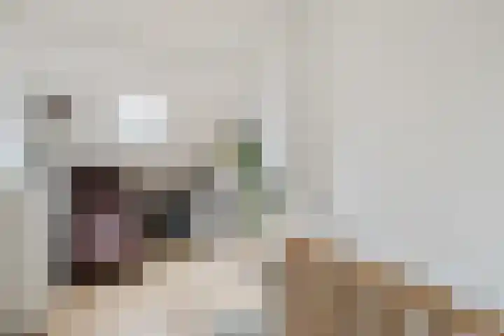 Aldenhof 2117 Nijmegen thumbnail 33