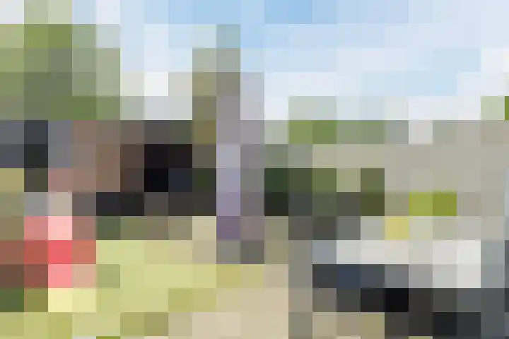 Aldenhof 2117 Nijmegen thumbnail 35