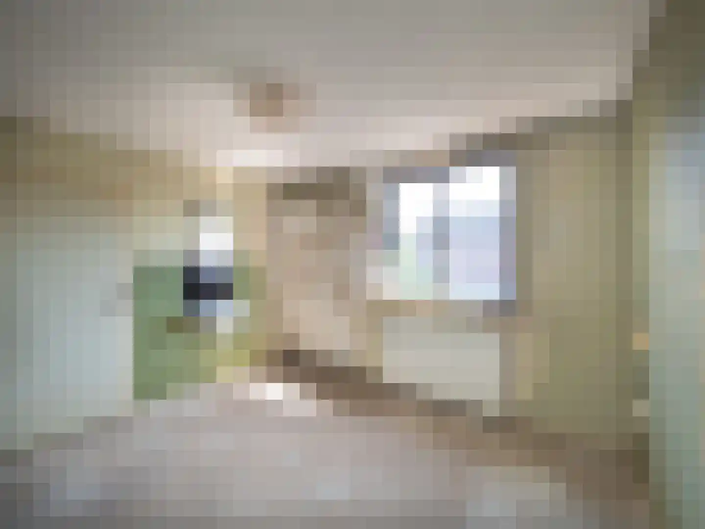 Aldenhof 2348 Nijmegen thumbnail 15