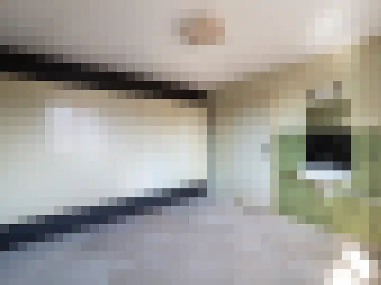 Aldenhof 2348 Nijmegen thumbnail 17