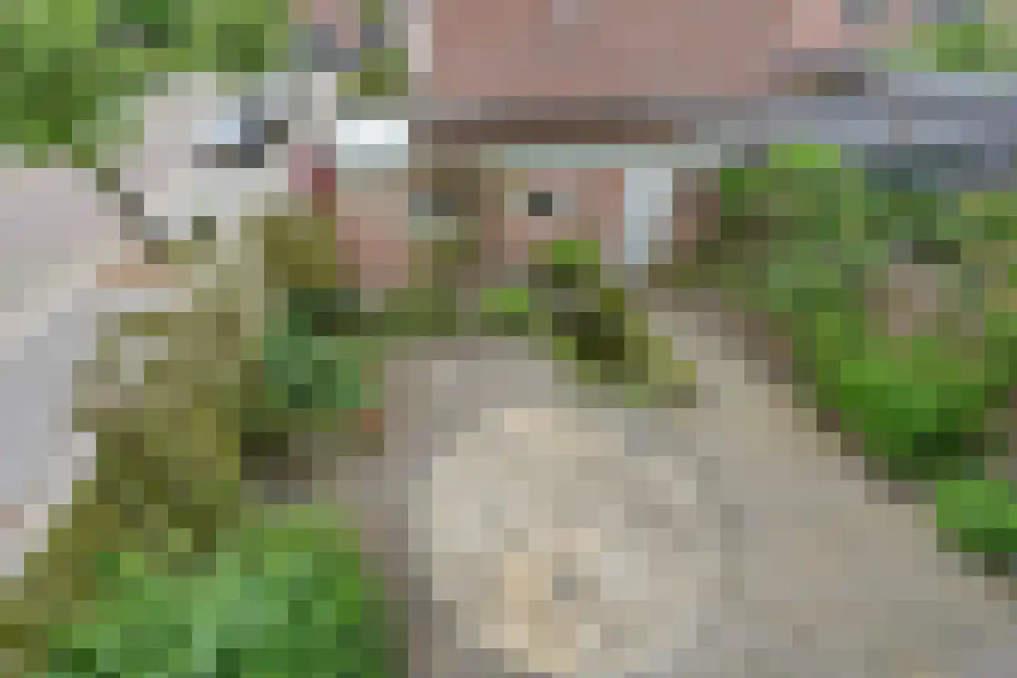 Aldenhof 3318 Nijmegen thumbnail 32