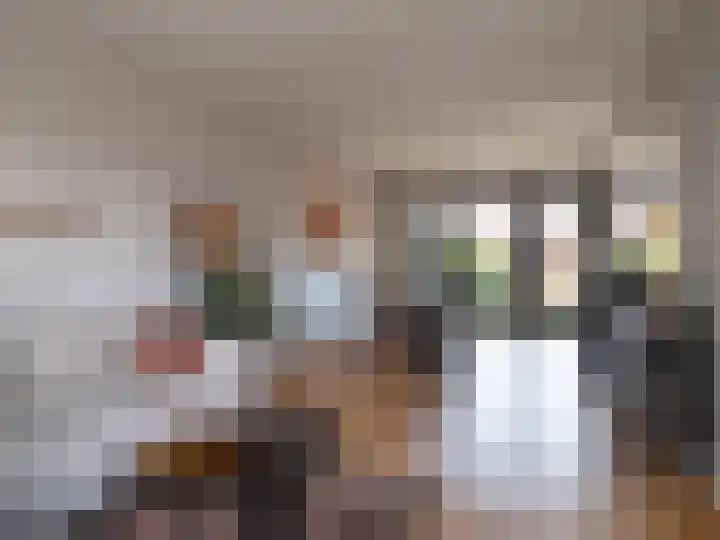 Aldenhof 3438 Nijmegen thumbnail 4