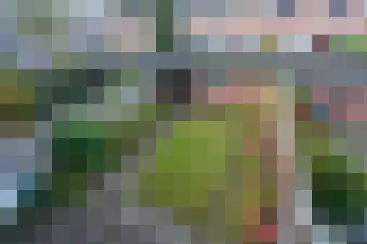 Aldenhof 3440 Nijmegen thumbnail 15