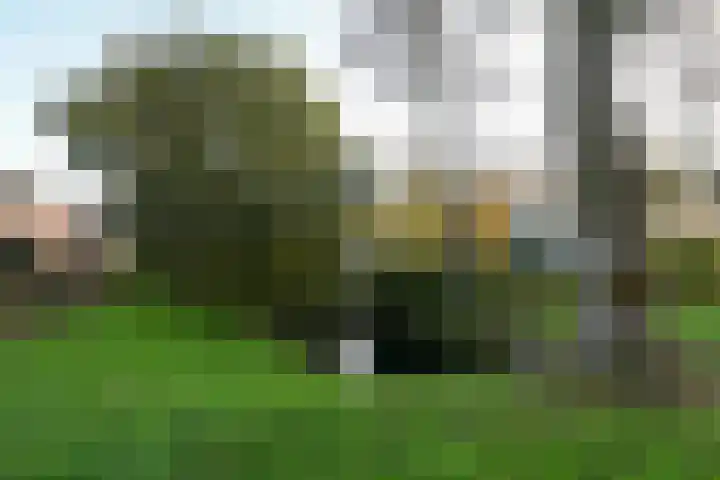 Aldenhof 3440 Nijmegen thumbnail 32