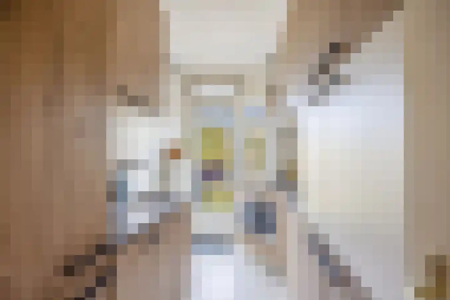Aldenhof 3573 Nijmegen thumbnail 13
