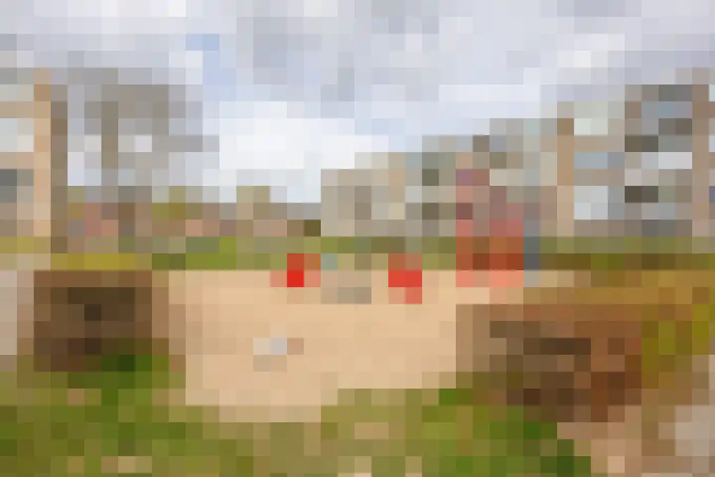 Aldenhof 3573 Nijmegen thumbnail 27