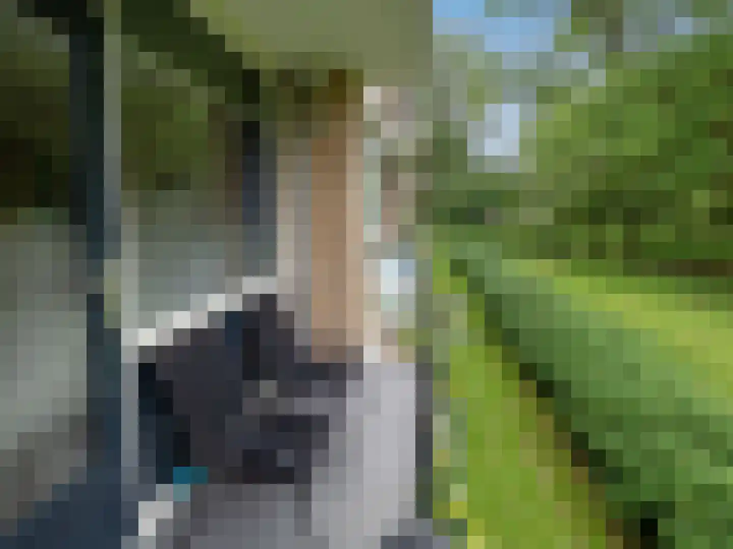 Aldenhof 3577 Nijmegen thumbnail 14