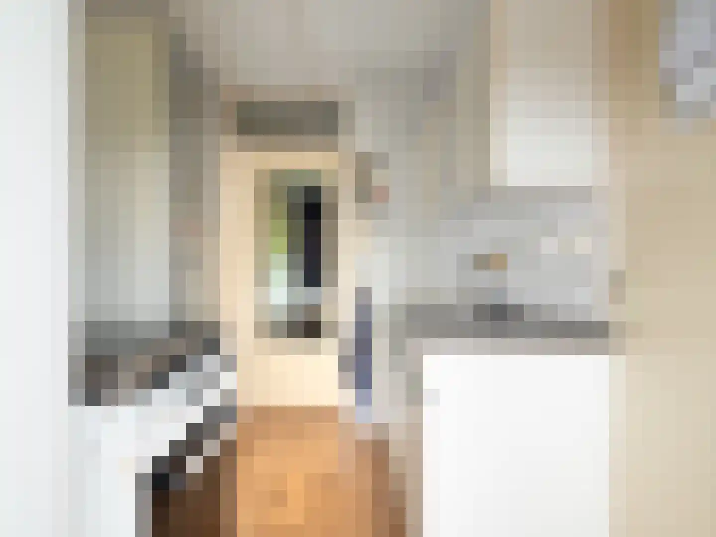 Aldenhof 3577 Nijmegen thumbnail 7