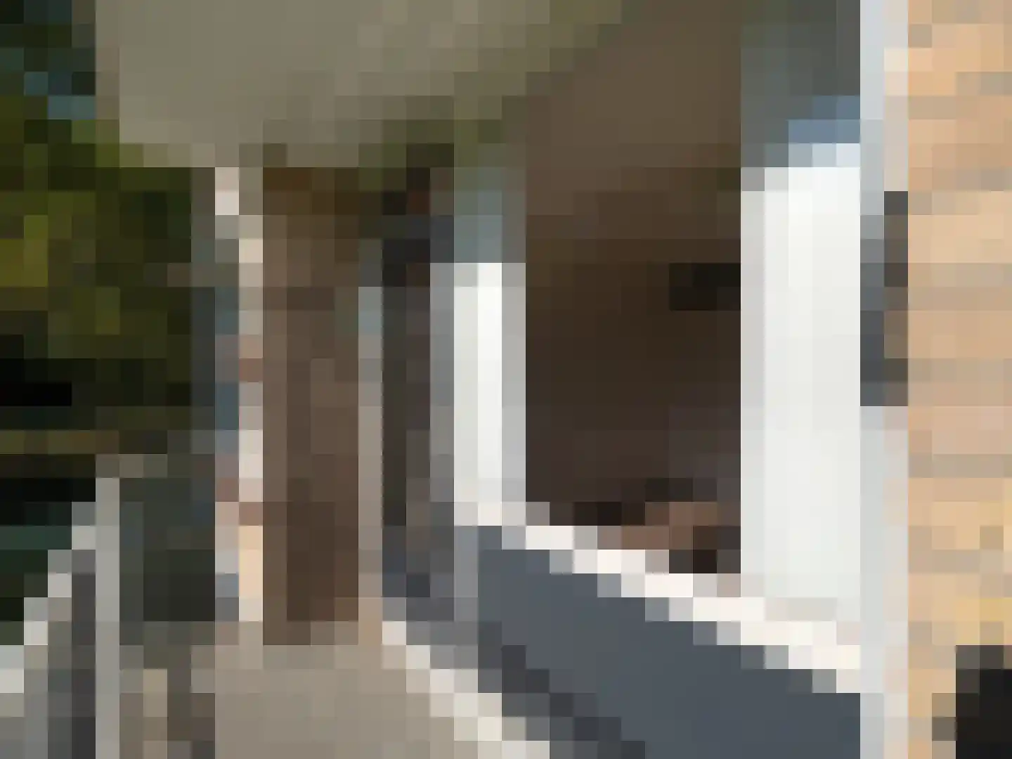 Aldenhof 3745 Nijmegen thumbnail 16