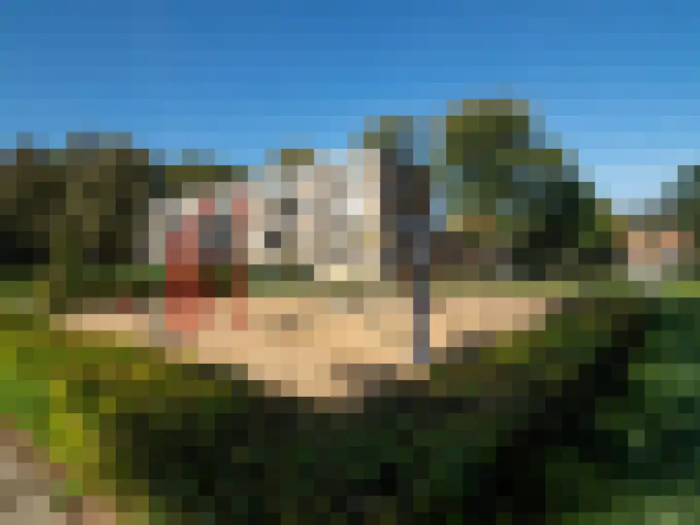 Aldenhof 3745 Nijmegen thumbnail 21