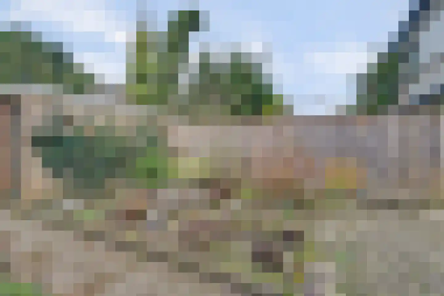 Aldenhof 5007 Nijmegen thumbnail 38
