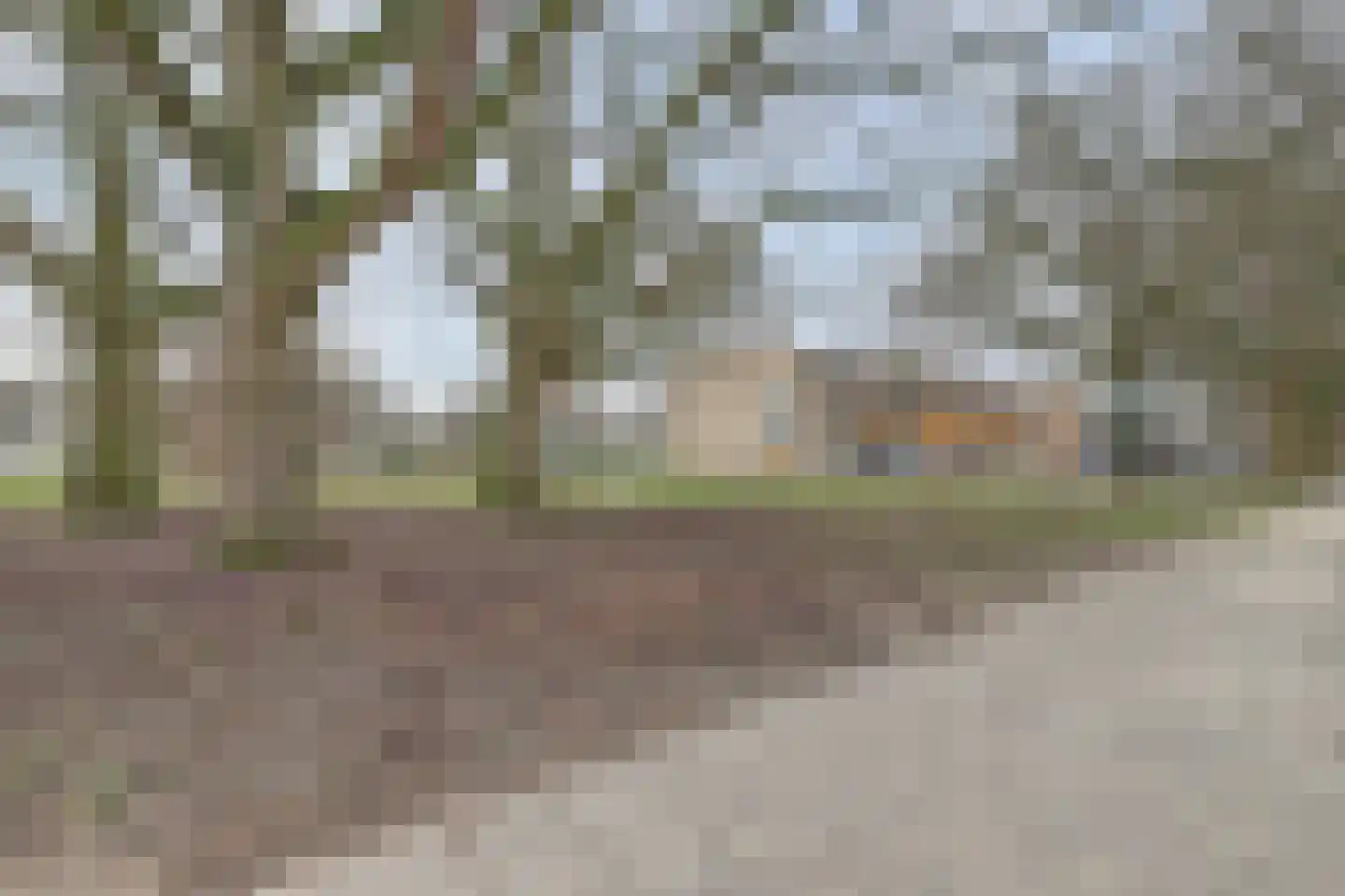 Aldenhof 5007 Nijmegen thumbnail 40