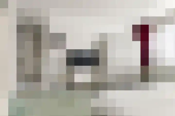 Aldenhof 5125 Nijmegen thumbnail 15