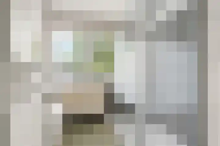 Aldenhof 5125 Nijmegen thumbnail 18