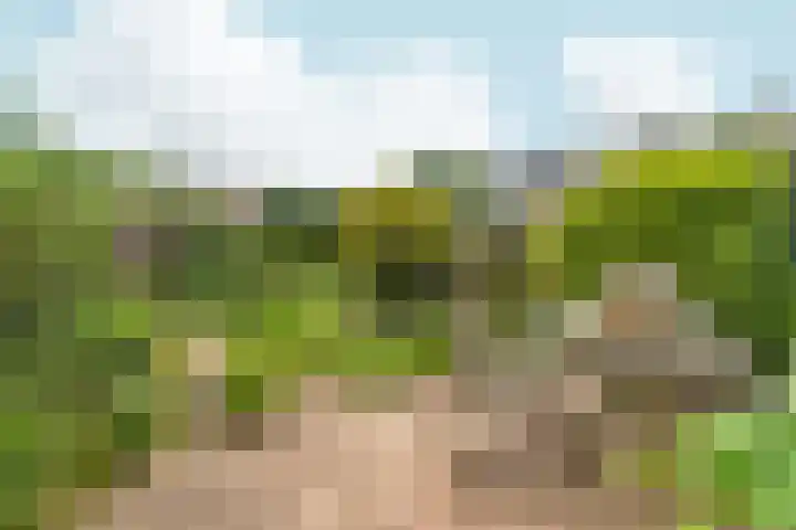 Aldenhof 5125 Nijmegen thumbnail 23