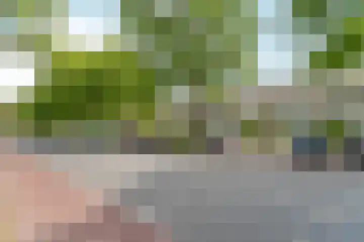 Aldenhof 5125 Nijmegen thumbnail 27