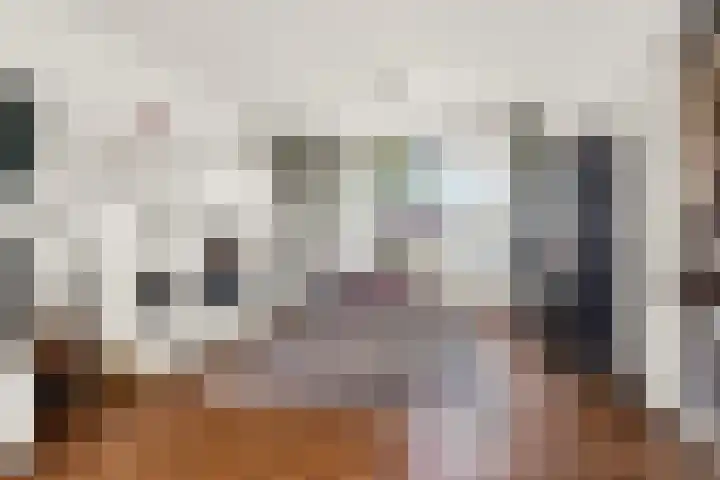 Aldenhof 5125 Nijmegen thumbnail 6