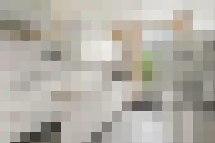 Aldenhof 5125 Nijmegen thumbnail 8