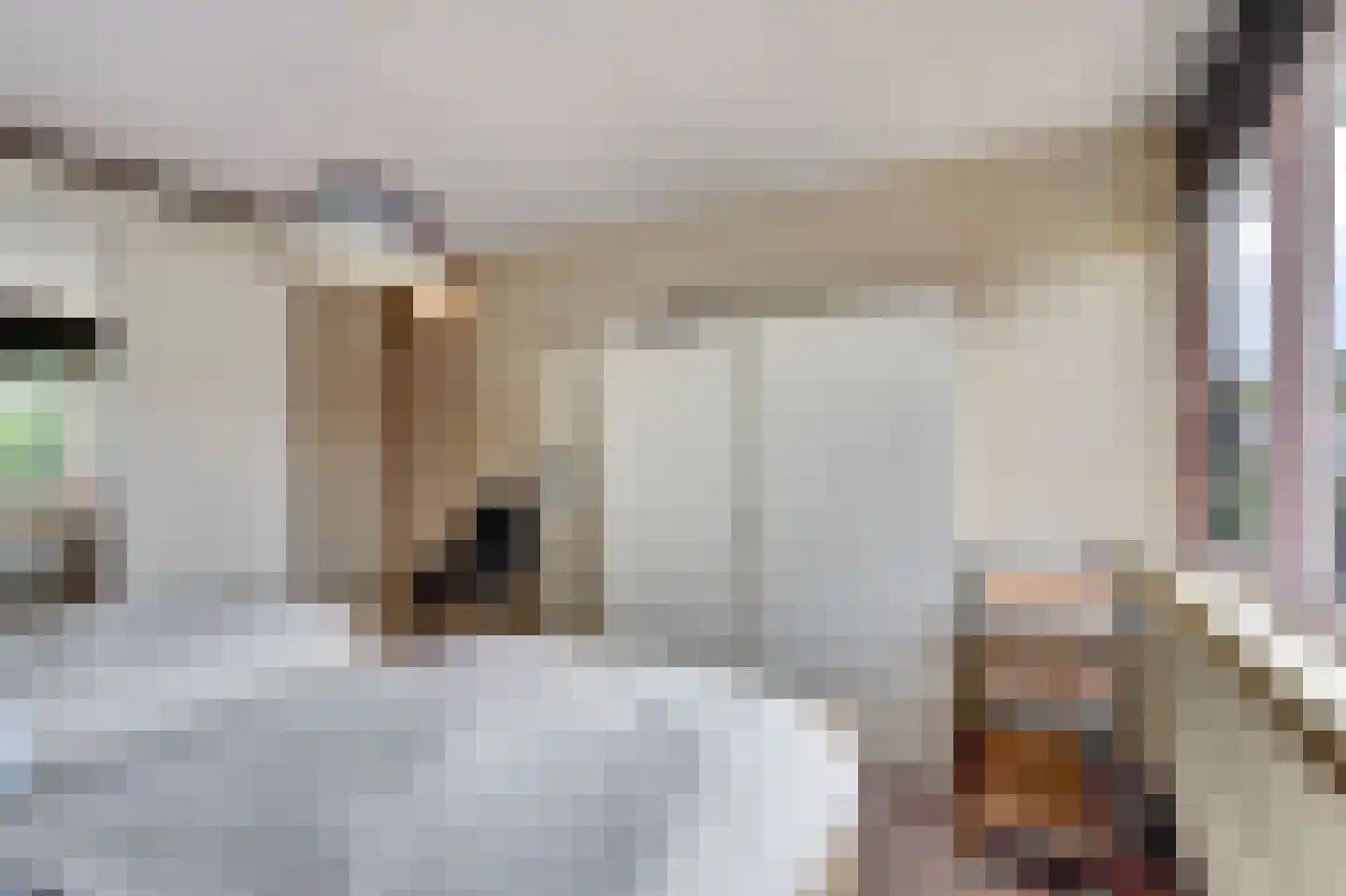 Aldenhof 5127 Nijmegen thumbnail 19