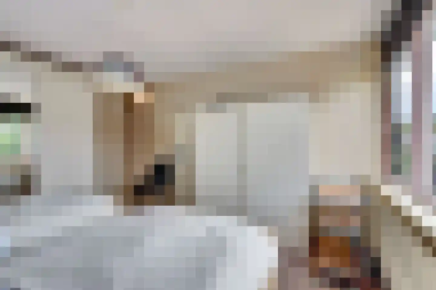 Aldenhof 5127 Nijmegen thumbnail 19