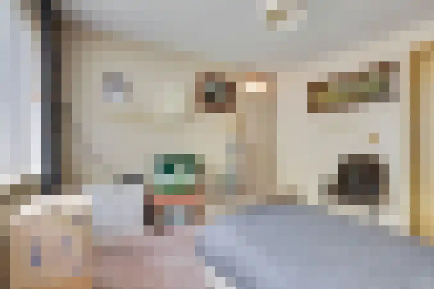 Aldenhof 5127 Nijmegen thumbnail 22