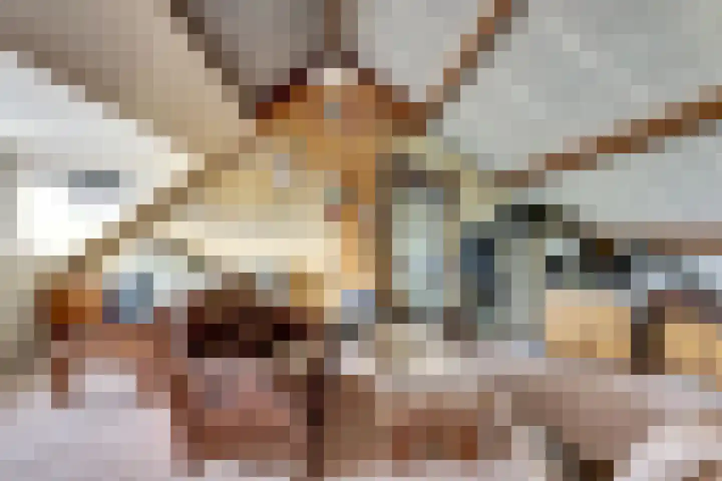 Aldenhof 5127 Nijmegen thumbnail 32
