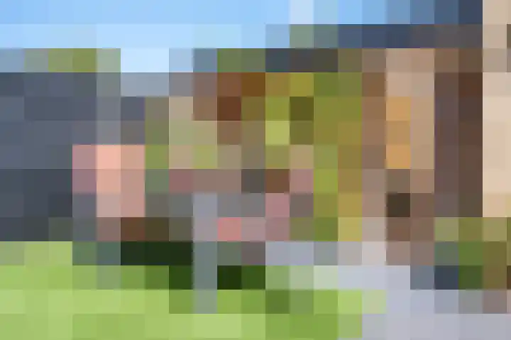 Aldenhof 5327 Nijmegen thumbnail 36