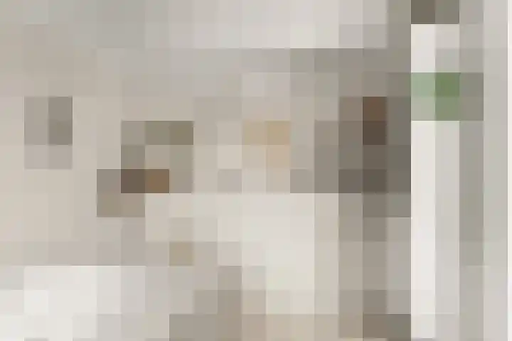 Aldenhof 5331 Nijmegen thumbnail 25