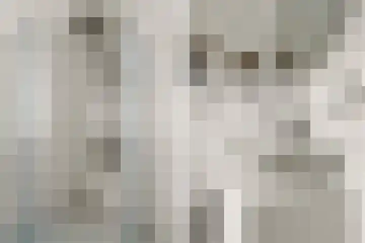 Aldenhof 5331 Nijmegen thumbnail 32