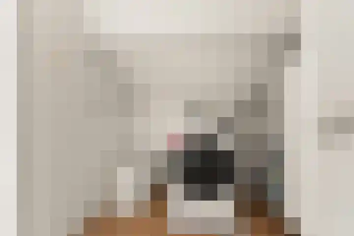 Aldenhof 5331 Nijmegen thumbnail 34