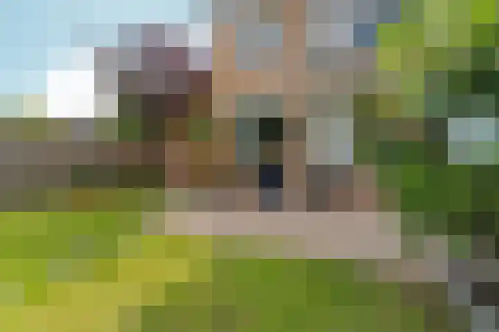 Aldenhof 5331 Nijmegen thumbnail 46