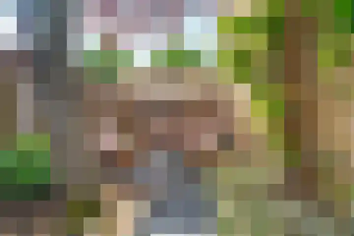 Aldenhof 5331 Nijmegen thumbnail 49