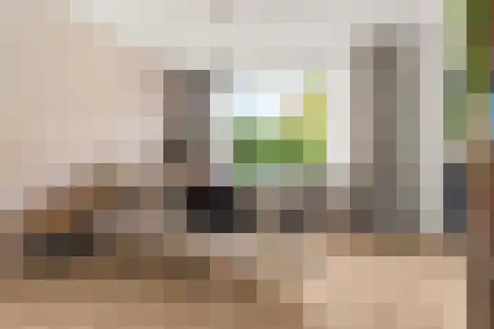 Aldenhof 5331 Nijmegen thumbnail 5