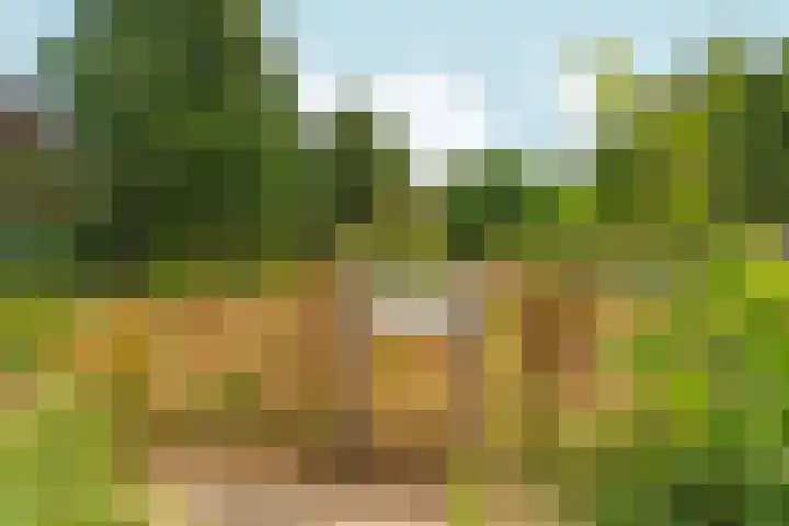 Aldenhof 5331 Nijmegen thumbnail 50
