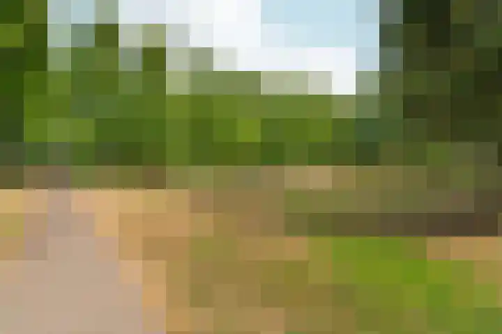 Aldenhof 5331 Nijmegen thumbnail 51