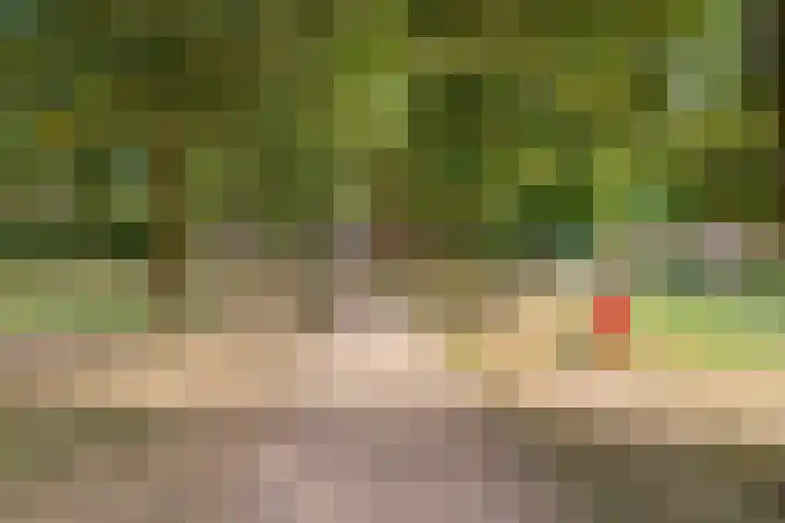 Aldenhof 5331 Nijmegen thumbnail 52