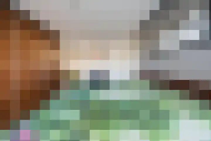 Aldenhof 6002 Nijmegen thumbnail 21
