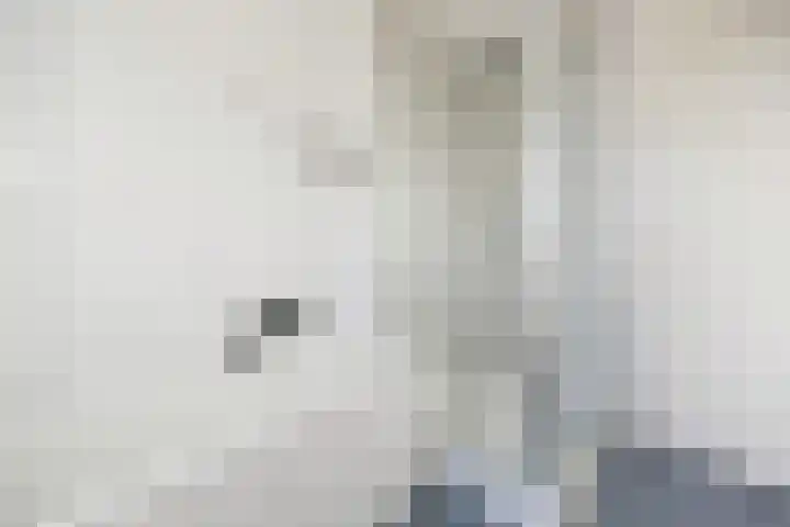 Aldenhof 6002 Nijmegen thumbnail 29