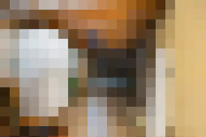 Aldenhof 6002 Nijmegen thumbnail 36