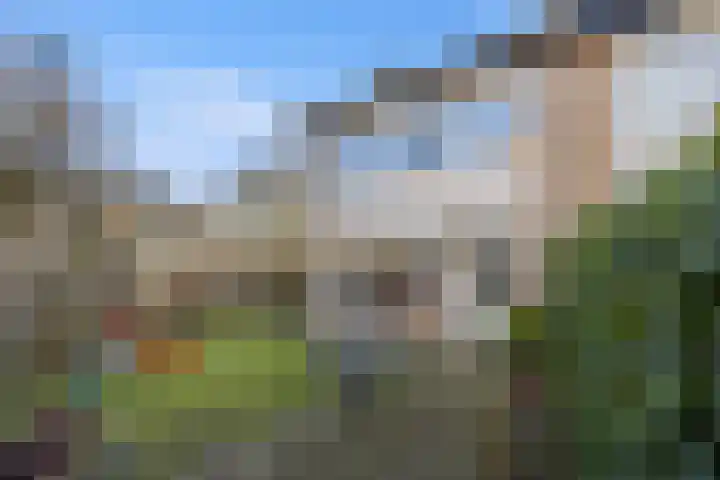 Aldenhof 6002 Nijmegen thumbnail 40